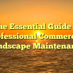 The Essential Guide to Professional Commercial Landscape Maintenance