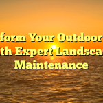 Transform Your Outdoor Oasis with Expert Landscape Maintenance
