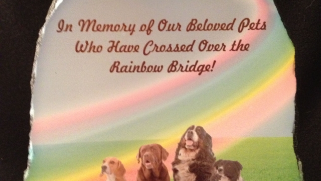 Forever in Our Hearts: Honoring Beloved Pets in Memoriam