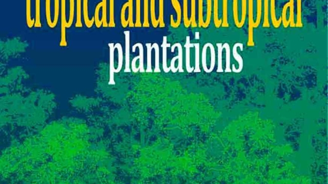 Reimagining Tradition: Plantation-Inspired Property Management Trends