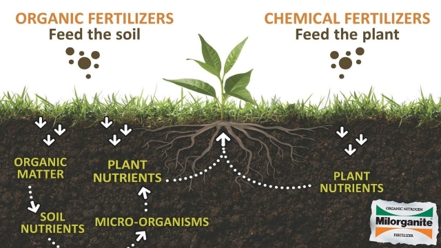 The Natural Way: Harnessing the Power of Organic Soils and Fertilizers