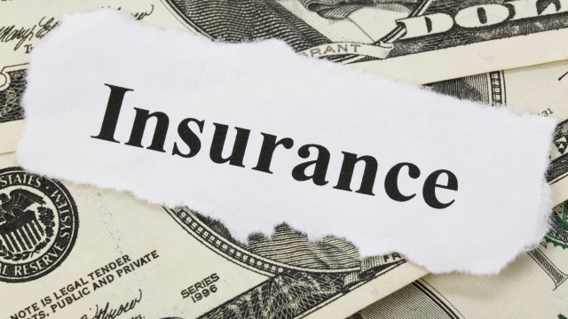 Understanding the Safety Net: Demystifying General Liability Insurance