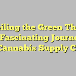 Unveiling the Green Thread: The Fascinating Journey of the Cannabis Supply Chain