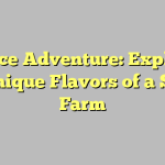 A Spice Adventure: Exploring the Unique Flavors of a Single Farm
