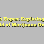High Hopes: Exploring the World of Marijuana Online