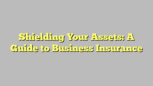 Shielding Your Assets: A Guide to Business Insurance - promguides.com