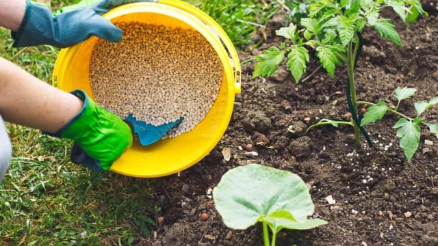 The Green Revolution: Harnessing the Power of Organic Fertilizer