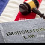 Beyond Borders: Navigating the Complexities of Immigration Law