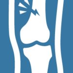 Bones, Joints, and Beyond: Exploring the World of Orthopedics