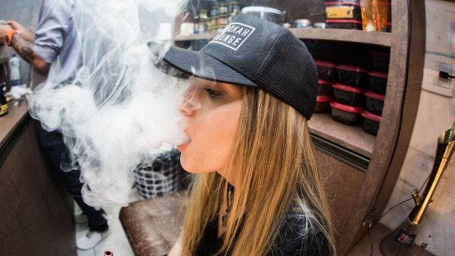 Inhaling the Trend: Exploring the World of Vapes