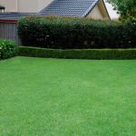 Transforming Your Yard: Creative Landscaping Ideas for a Stunning Lawn