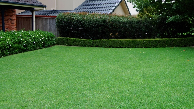 Transforming Your Yard: Creative Landscaping Ideas for a Stunning Lawn