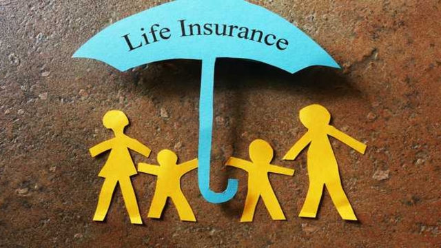Insuring Your Peace of Mind: The Ultimate Guide to Choosing the Right Insurance Agency