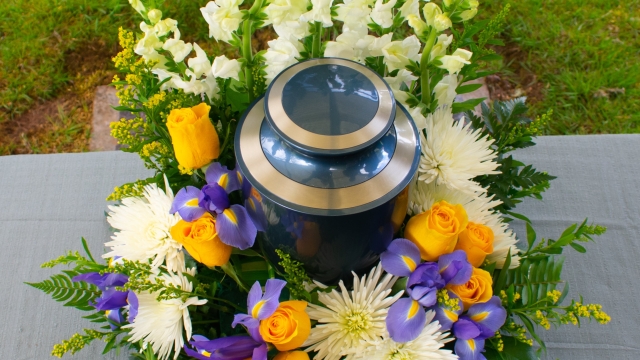 The Philosophy of Cremation: Perspectives on Mortality