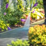 Revitalize Your Curb Appeal: The Ultimate Guide to Expert Exterior Cleaning