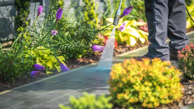 Revitalize Your Curb Appeal: The Ultimate Guide to Expert Exterior Cleaning