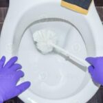 The Role of Customer Reviews in Choosing a Cleaning Service