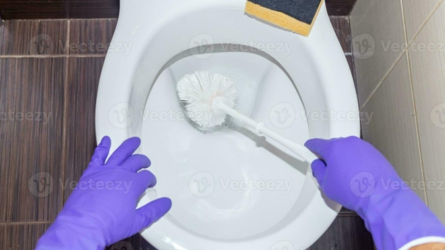 The Role of Customer Reviews in Choosing a Cleaning Service