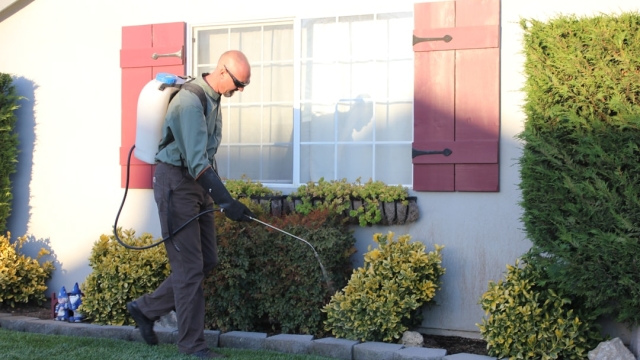 Importance of Hiring an Insured Gutter Contractor