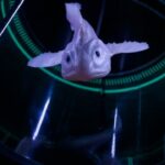 Current Trends and Innovations in Fish Breeding Technology