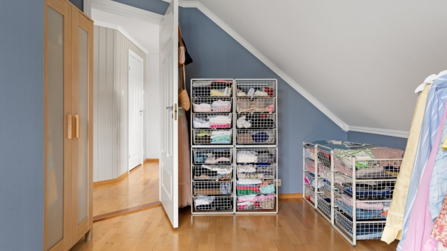 Modern Kitchen Storage Solutions