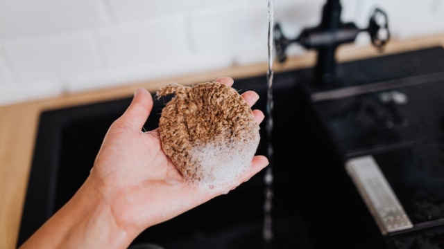 Overview of the Rocklin Car Wash and Its Services