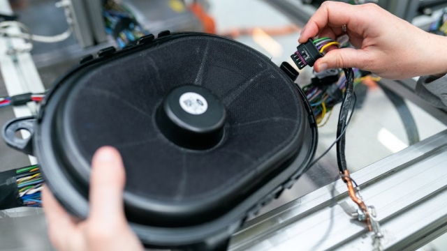 Types of Doggie Doors