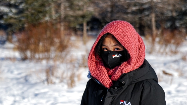 The Importance of Professional Pool Care in Winter