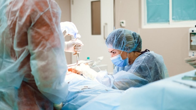 Understanding Cardiovascular Health Key Components and Importance