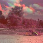 Origins of DMT in Indigenous Cultures