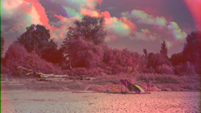 Origins of DMT in Indigenous Cultures